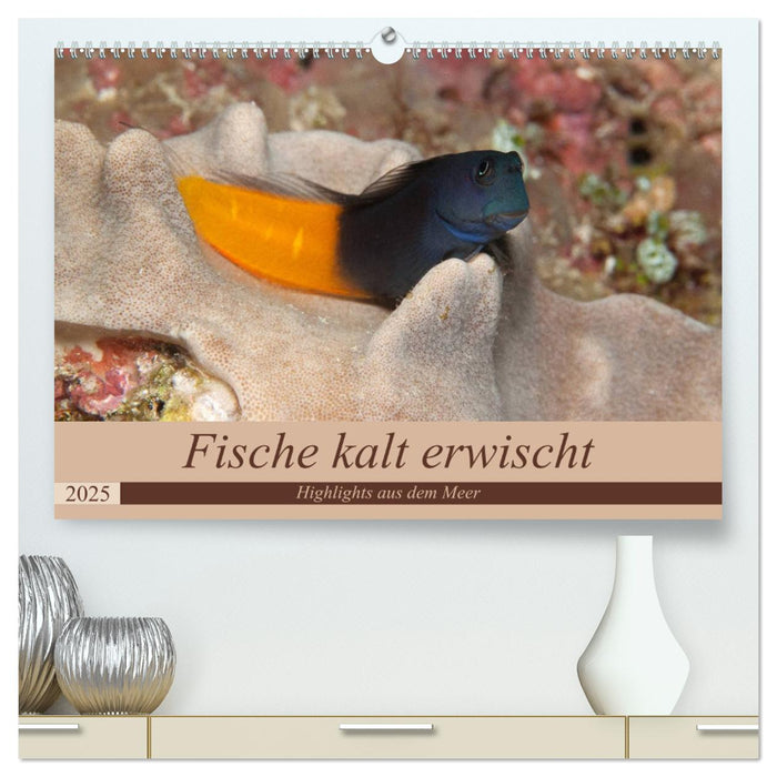 Sven Gruse taucht ab! Fische kalt erwischt (CALVENDO Premium Wandkalender 2025)