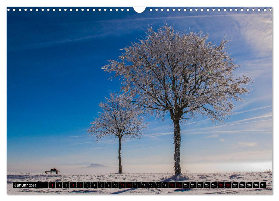 Hegau und westlicher Bodensee (CALVENDO Wandkalender 2025)