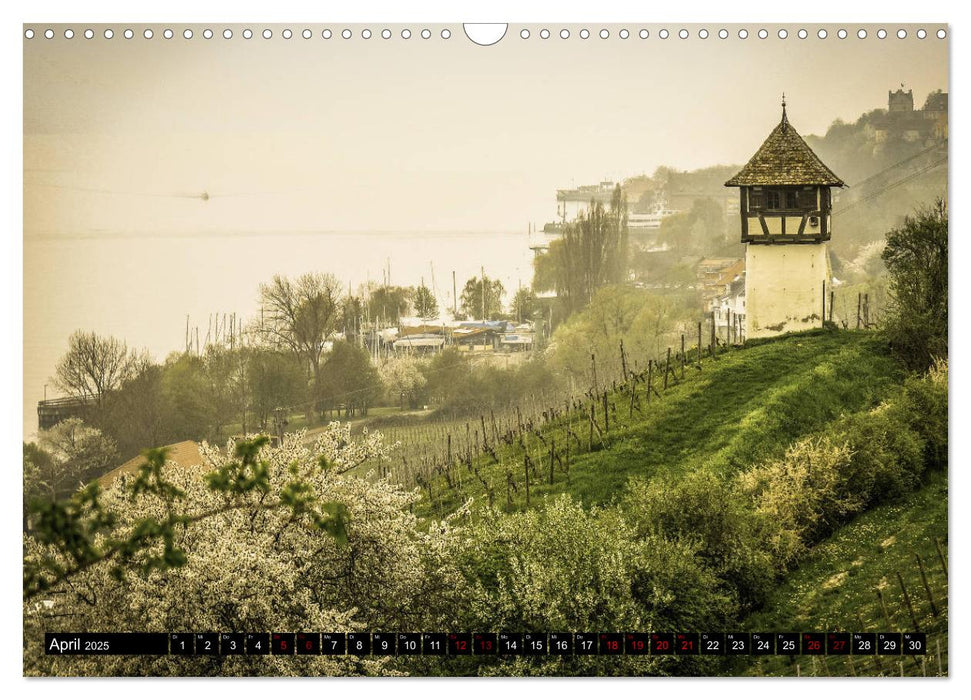 Hegau und westlicher Bodensee (CALVENDO Wandkalender 2025)