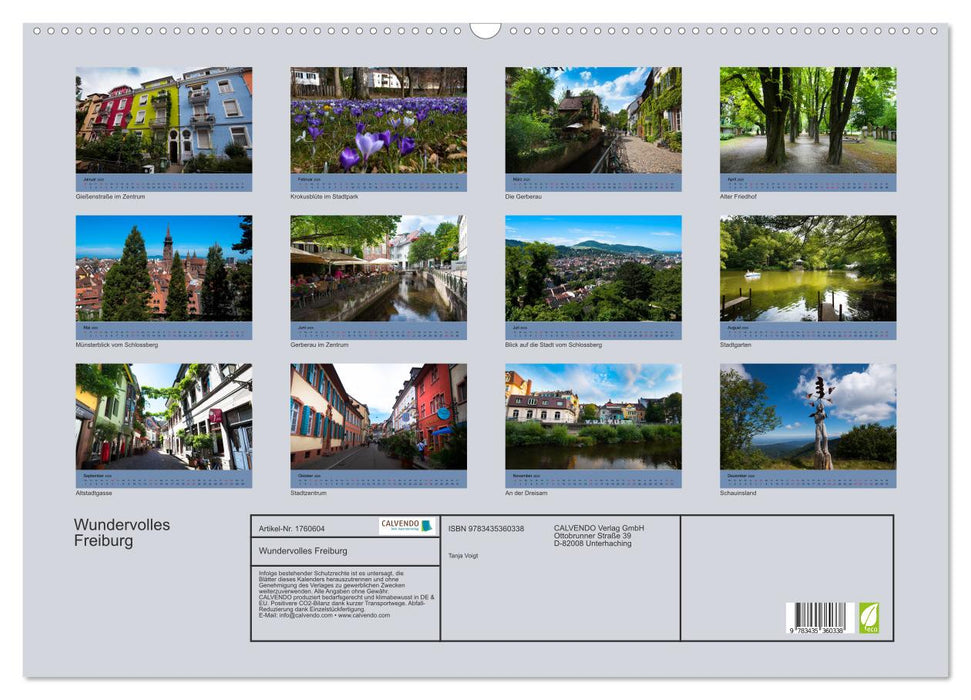 Wundervolles Freiburg (CALVENDO Wandkalender 2025)