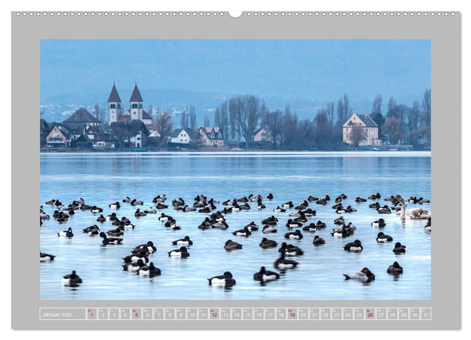 Insel Reichenau - Größte Insel im Bodensee (CALVENDO Premium Wandkalender 2025)