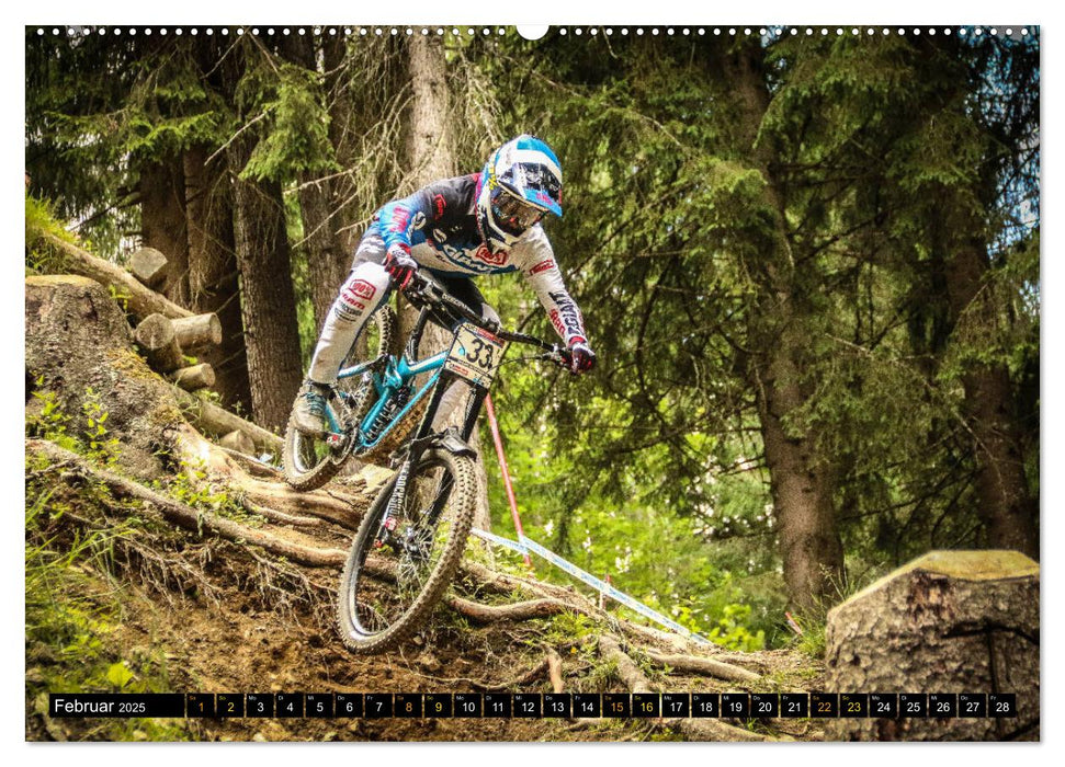 Downhill Racing (CALVENDO Premium Wandkalender 2025)