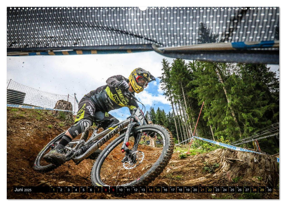 Downhill Racing (CALVENDO Premium Wandkalender 2025)