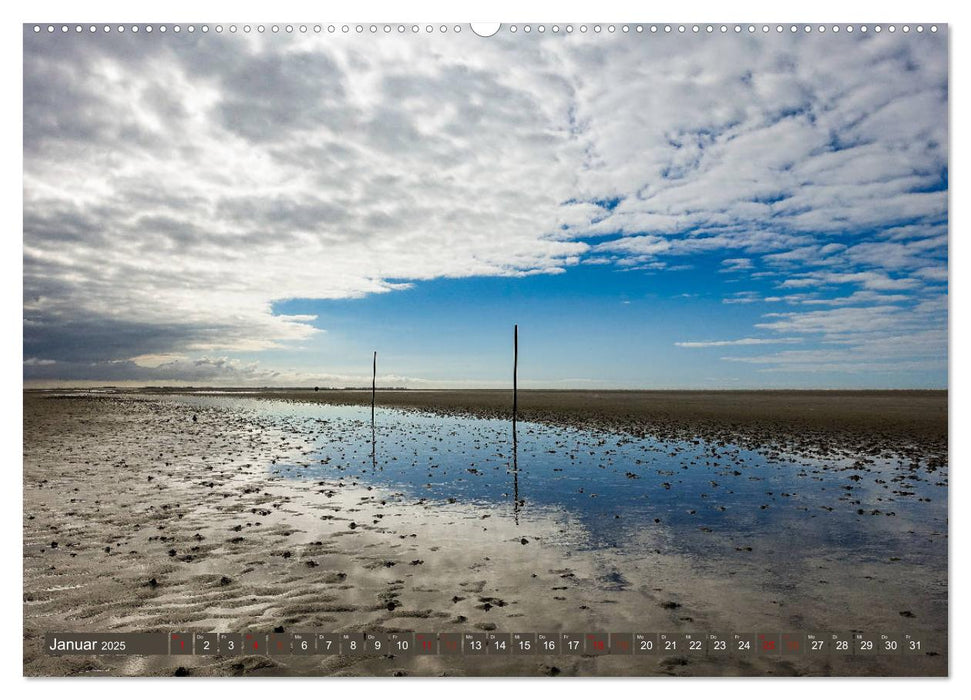 Einzigartiges Spiekeroog (CALVENDO Premium Wandkalender 2025)