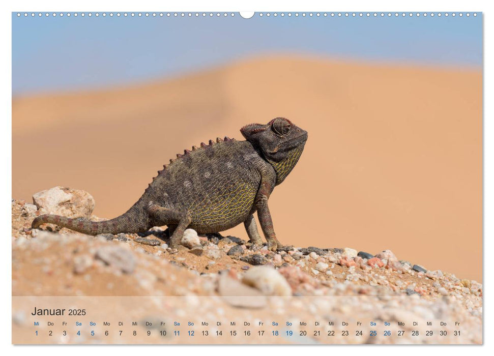 Die Wüste lebt! - Der LIVING DESERT Kalender 2025 (CALVENDO Premium Wandkalender 2025)