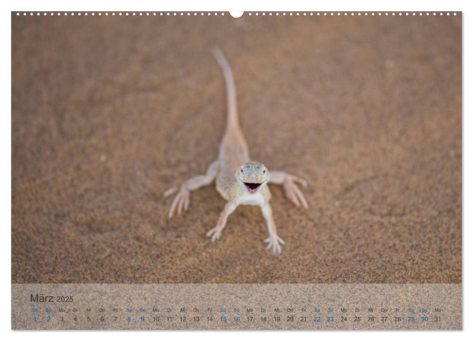 Die Wüste lebt! - Der LIVING DESERT Kalender 2025 (CALVENDO Premium Wandkalender 2025)