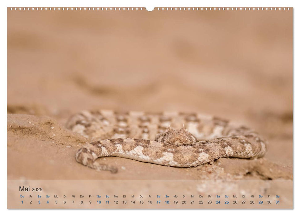 Die Wüste lebt! - Der LIVING DESERT Kalender 2025 (CALVENDO Premium Wandkalender 2025)