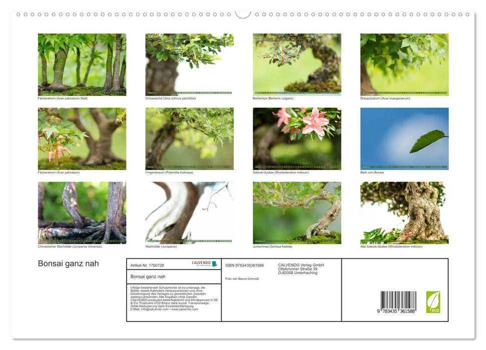 Bonsai ganz nah (CALVENDO Premium Wandkalender 2025)