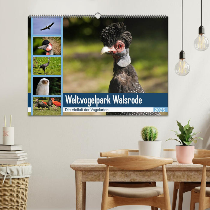 Weltvogelpark Walsrode - Die Vielfalt der Vogelarten (CALVENDO Wandkalender 2025)