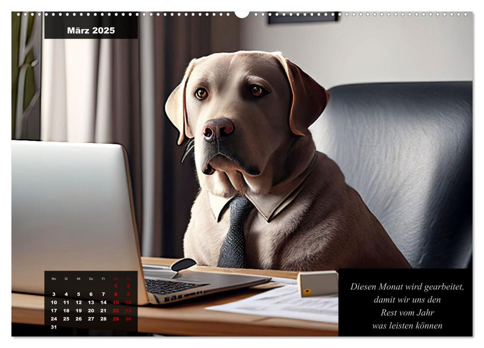 Der witzige Labrador-Kalender (CALVENDO Premium Wandkalender 2025)