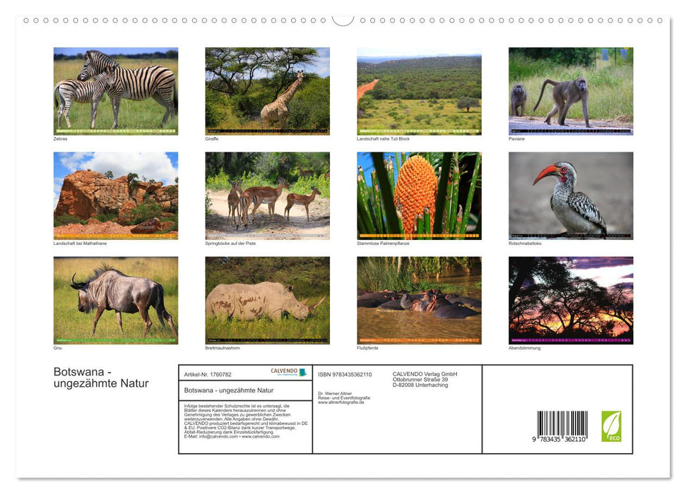 Botswana - ungezähmte Natur (CALVENDO Premium Wandkalender 2025)