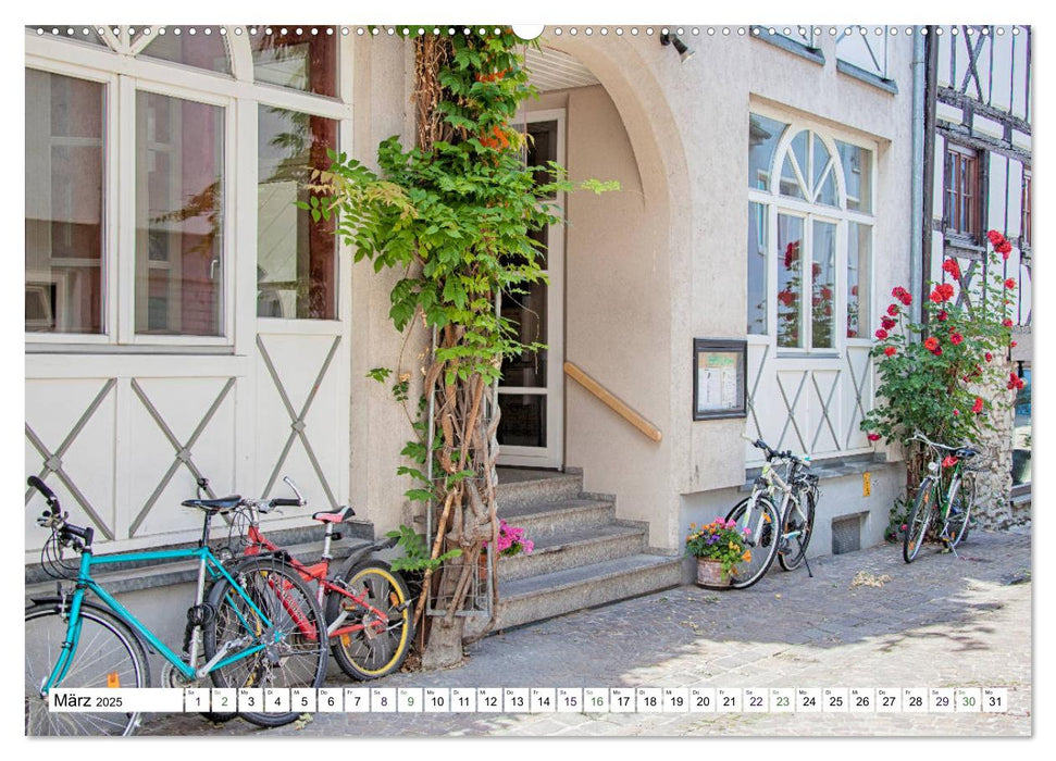 Radolfzell - schmucke Stadt am Bodensee (CALVENDO Premium Wandkalender 2025)