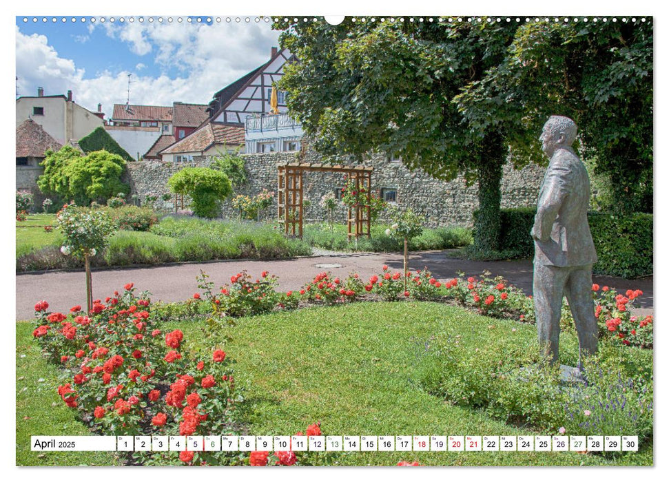 Radolfzell - schmucke Stadt am Bodensee (CALVENDO Premium Wandkalender 2025)