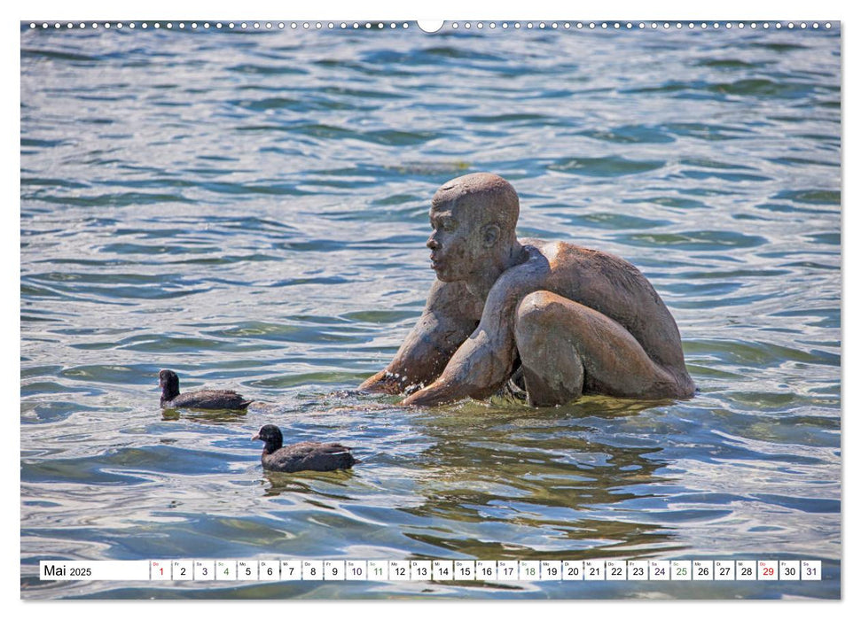 Radolfzell - schmucke Stadt am Bodensee (CALVENDO Premium Wandkalender 2025)