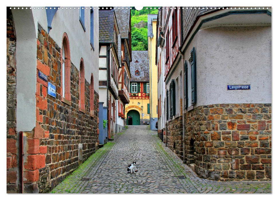 Von Lahnstein bis Rüdesheim - Am wunderschönen Mittelrhein (CALVENDO Premium Wandkalender 2025)