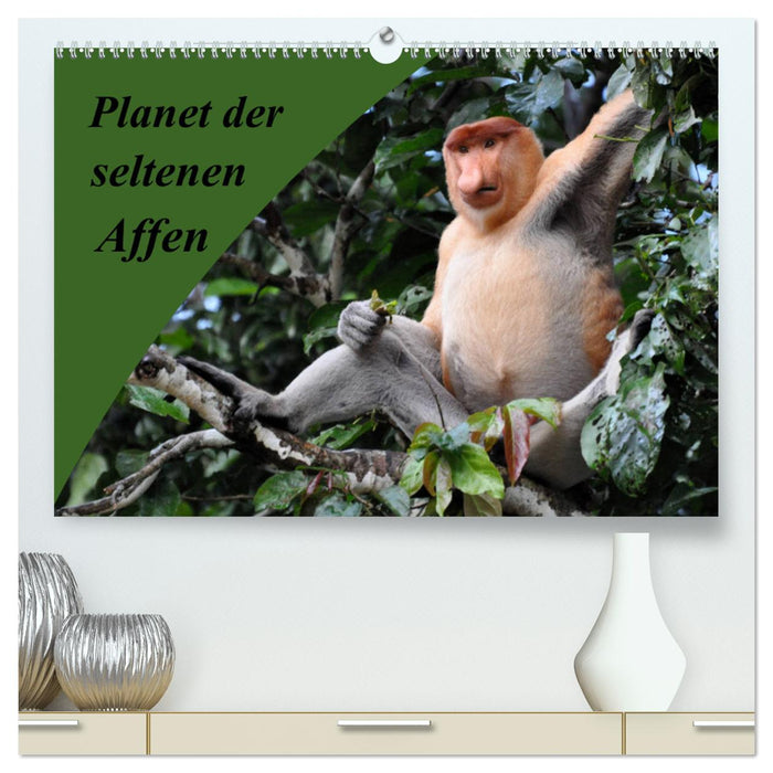 Planet der seltenen Affen (CALVENDO Premium Wandkalender 2025)