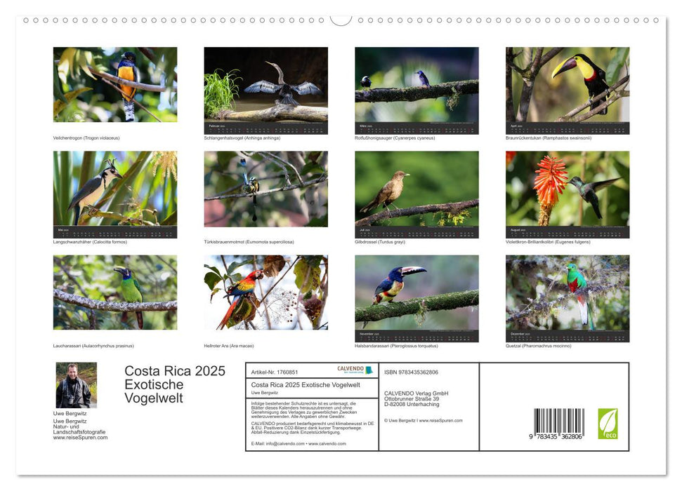 Costa Rica 2025 Exotische Vogelwelt (CALVENDO Premium Wandkalender 2025)