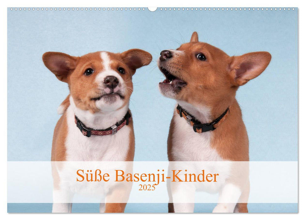 Süße Basenji-Kinder (CALVENDO Wandkalender 2025)