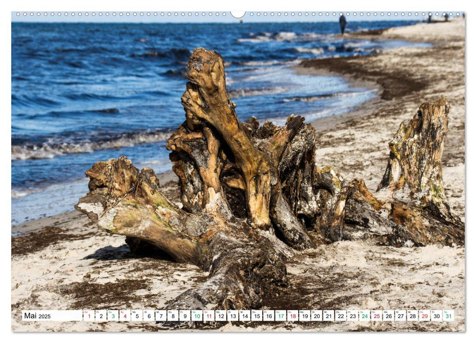 Darßer Weststrand - Fischland Darß Zingst (CALVENDO Premium Wandkalender 2025)