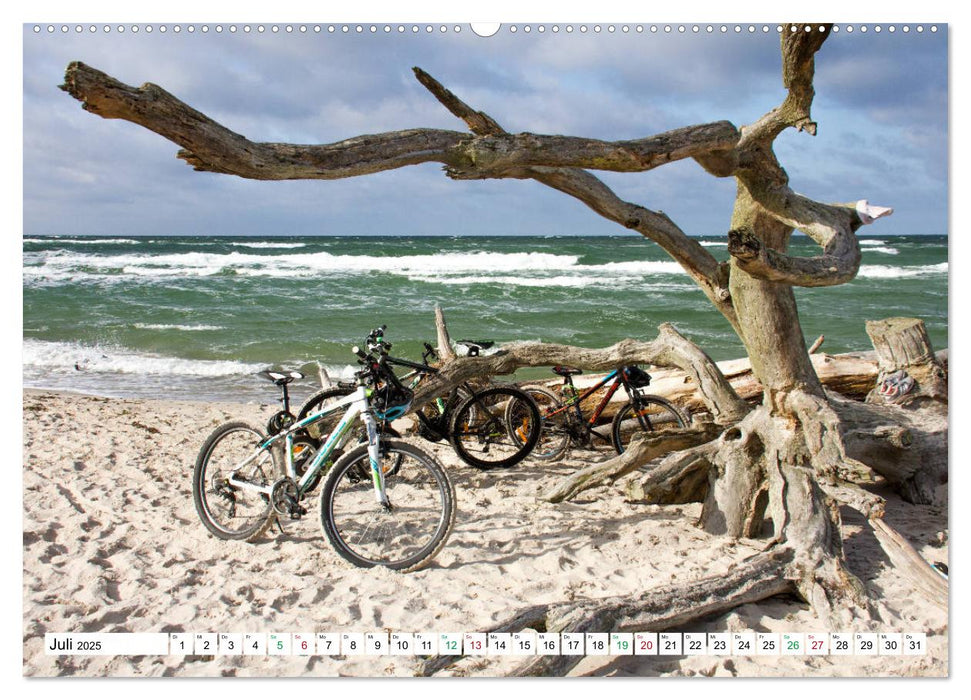 Darßer Weststrand - Fischland Darß Zingst (CALVENDO Premium Wandkalender 2025)