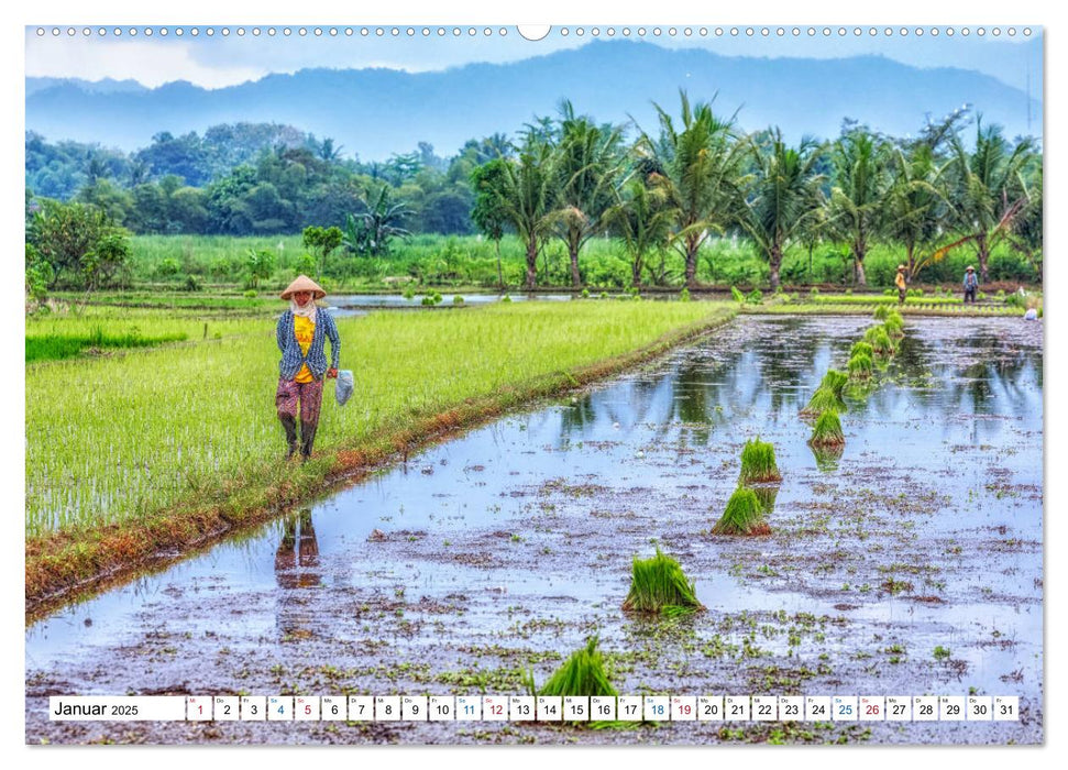 Java, Indonesische Insel im Feuerring (CALVENDO Premium Wandkalender 2025)