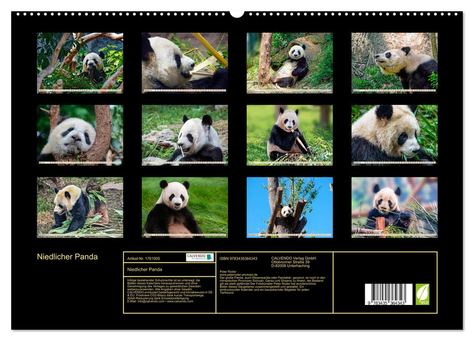 Niedlicher Panda (CALVENDO Premium Wandkalender 2025)