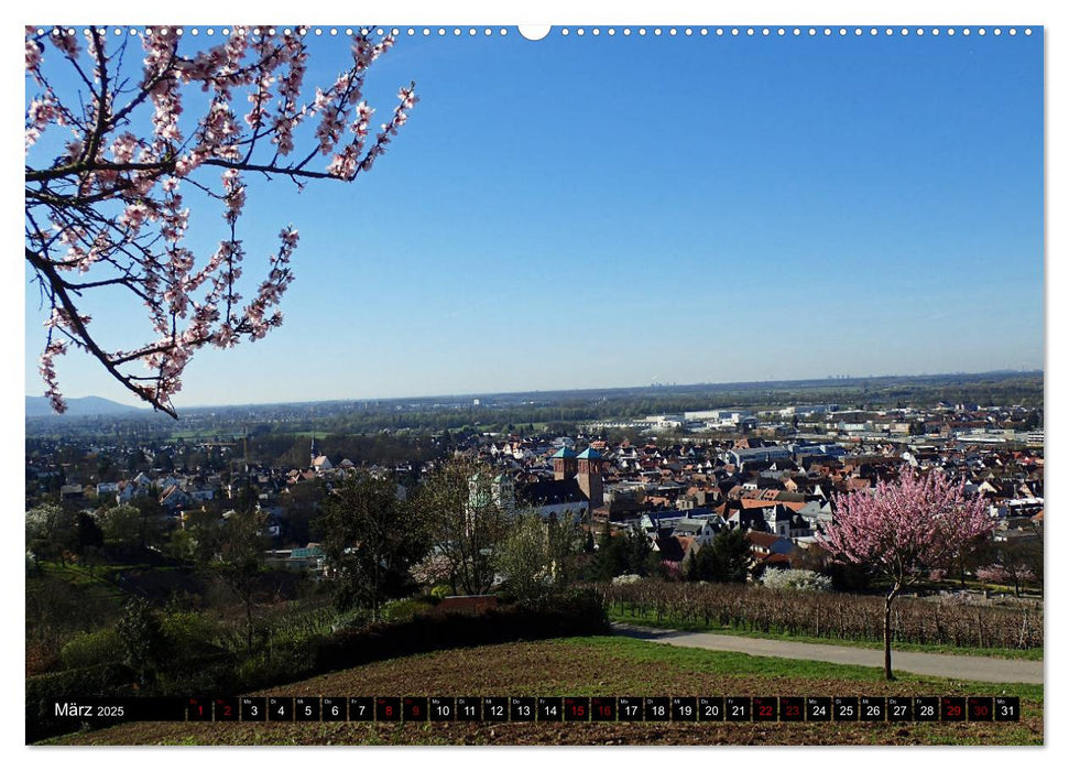 Sehenswertes Bensheim an der Bergstraße (CALVENDO Wandkalender 2025)