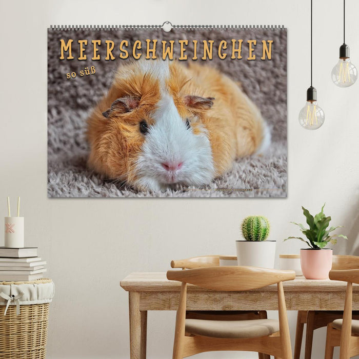 Meerschweinchen - so süß (CALVENDO Wandkalender 2025)