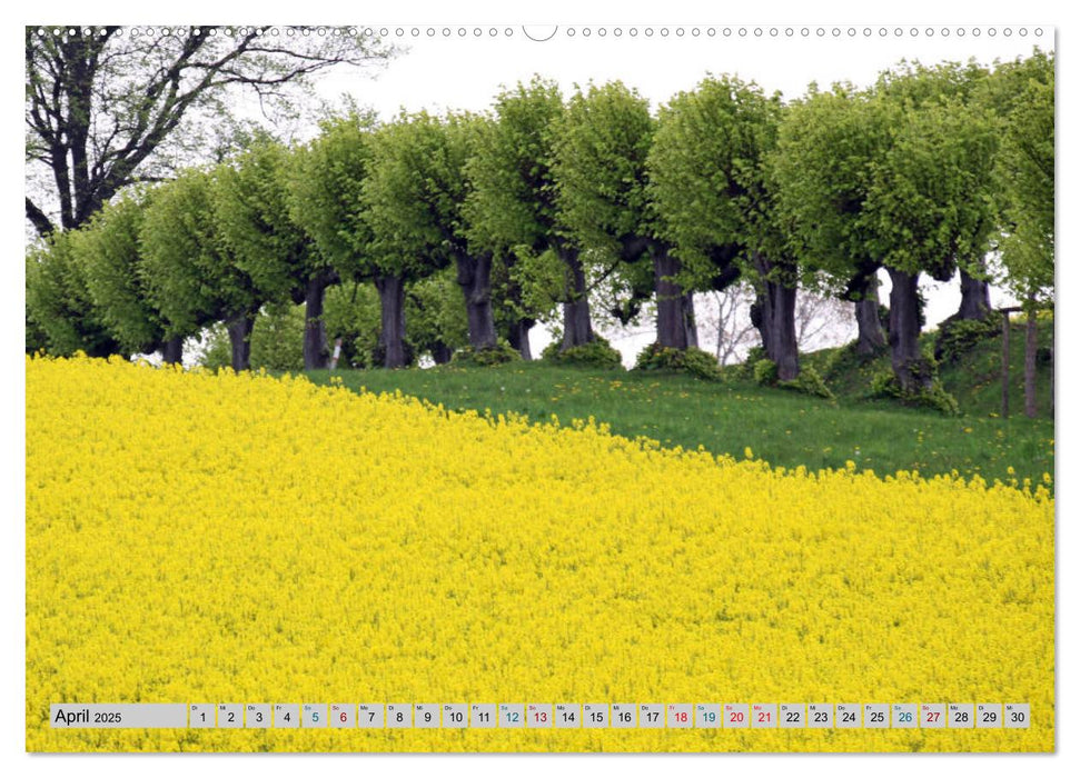 Schloss Bothmer - Klützer Schlossimpressionen (CALVENDO Premium Wandkalender 2025)