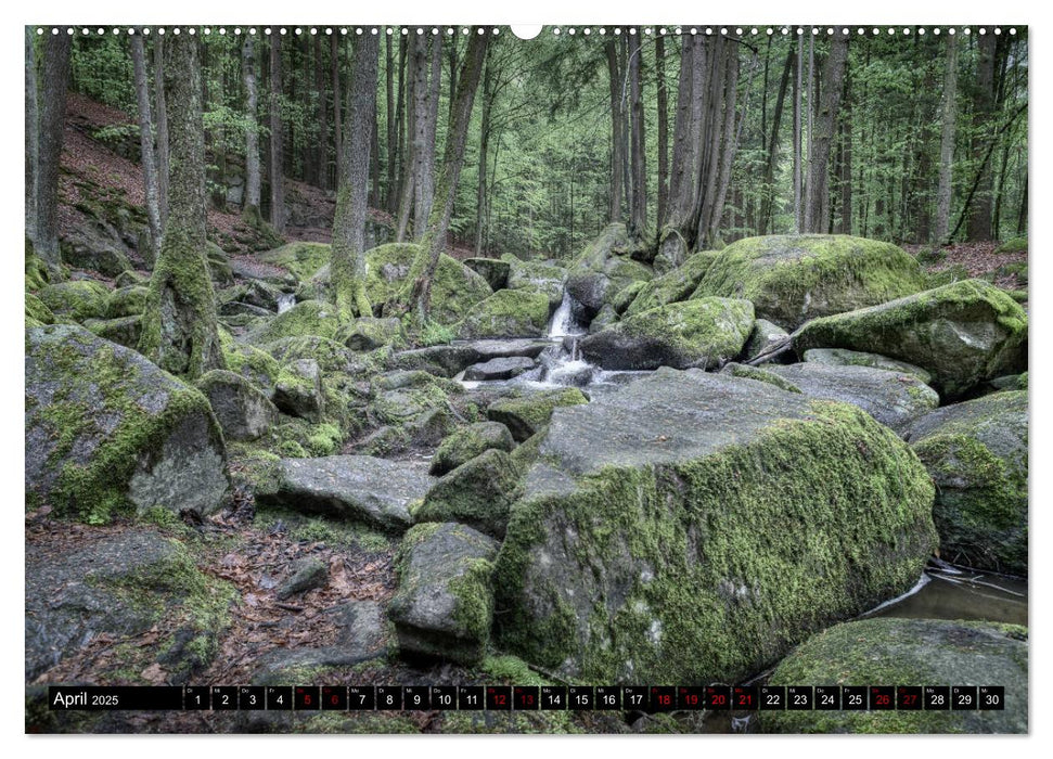 Quer durch die Oberpfalz (CALVENDO Wandkalender 2025)