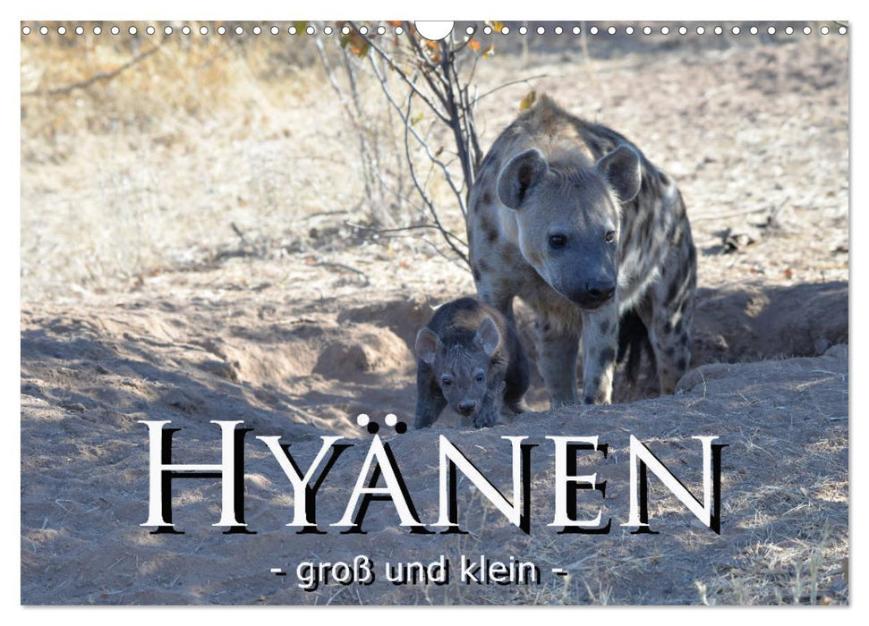 Hyänen - groß und klein (CALVENDO Wandkalender 2025)