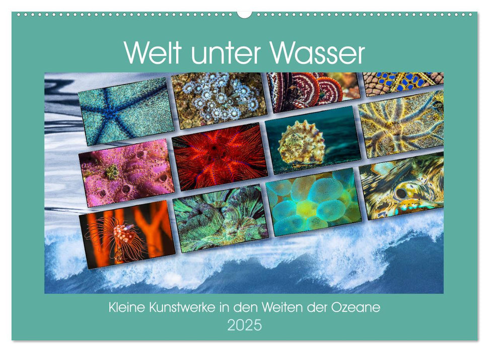 Kleine Kunstwerke in den Weiten der Ozeane (CALVENDO Wandkalender 2025)