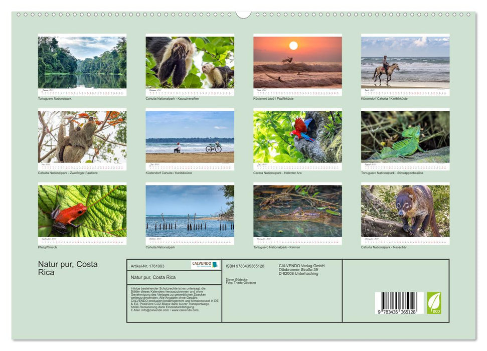 Natur pur, Costa Rica (CALVENDO Premium Wandkalender 2025)