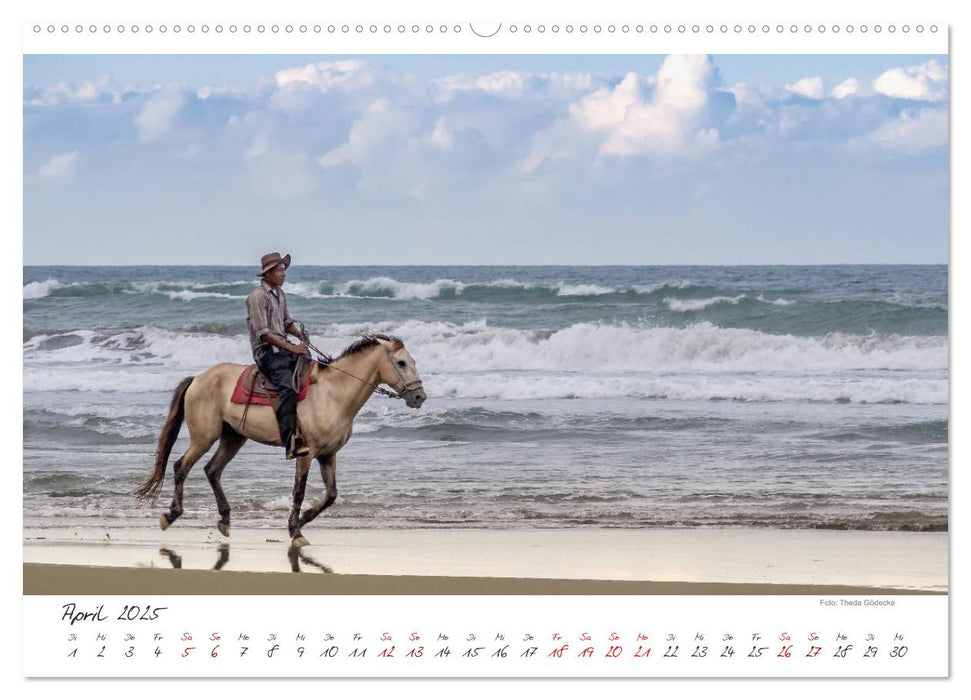 Natur pur, Costa Rica (CALVENDO Premium Wandkalender 2025)