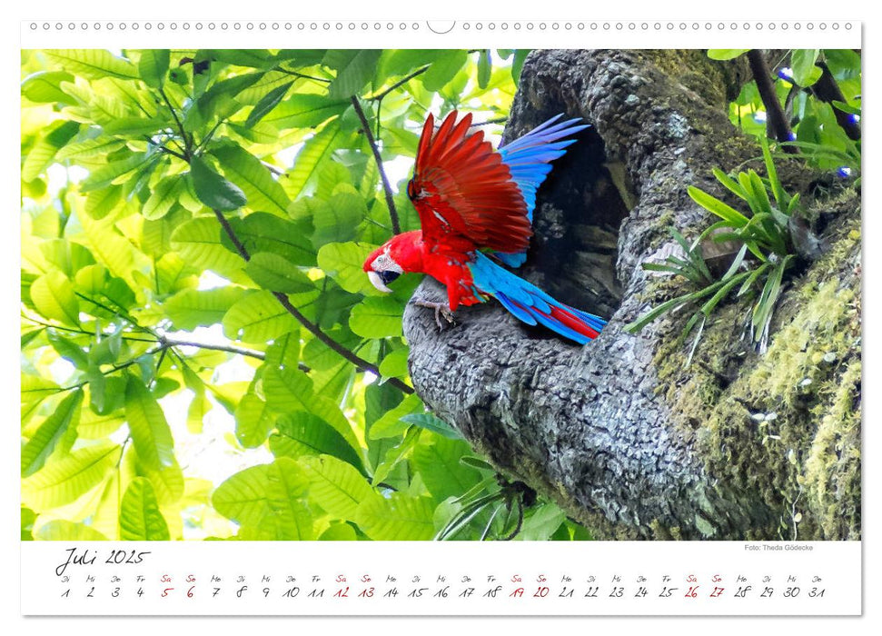 Natur pur, Costa Rica (CALVENDO Premium Wandkalender 2025)