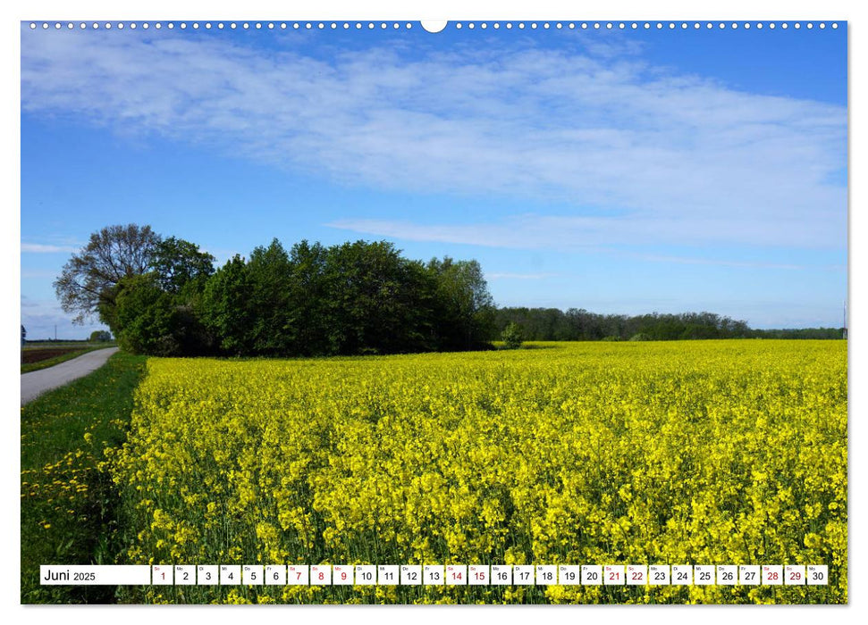 Traumland Estland - Erkundungen zwischen Saka und Narva (CALVENDO Wandkalender 2025)