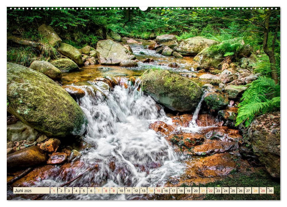 Reise durch Deutschland - Niedersachsen (CALVENDO Premium Wandkalender 2025)