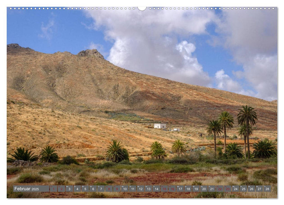 Fuerteventura - Küste und Wüste (CALVENDO Premium Wandkalender 2025)