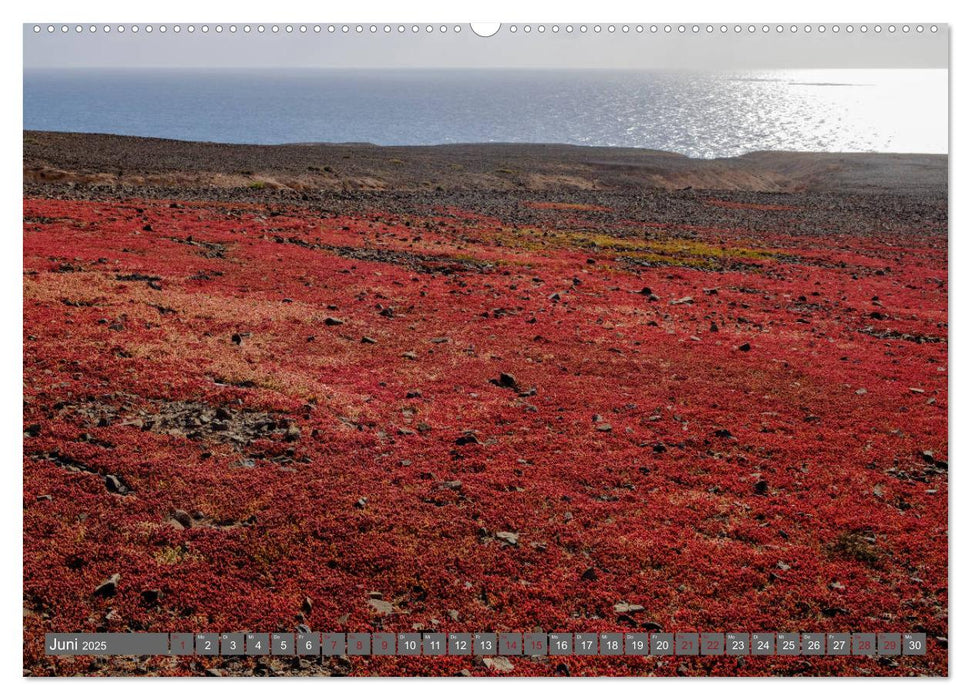 Fuerteventura - Küste und Wüste (CALVENDO Premium Wandkalender 2025)