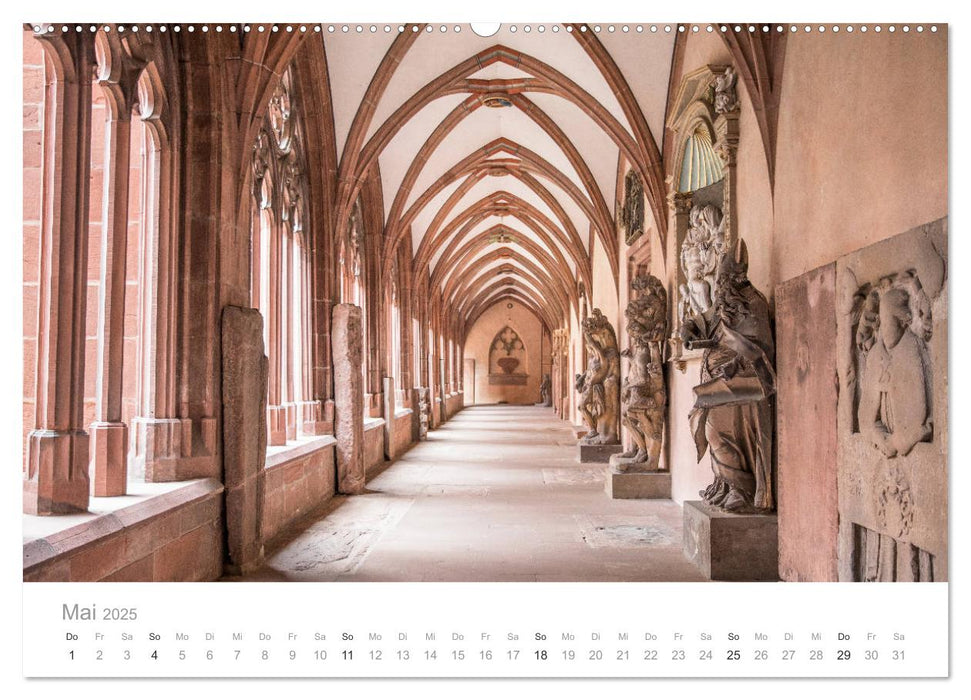 Mein Mainz (CALVENDO Premium Wandkalender 2025)