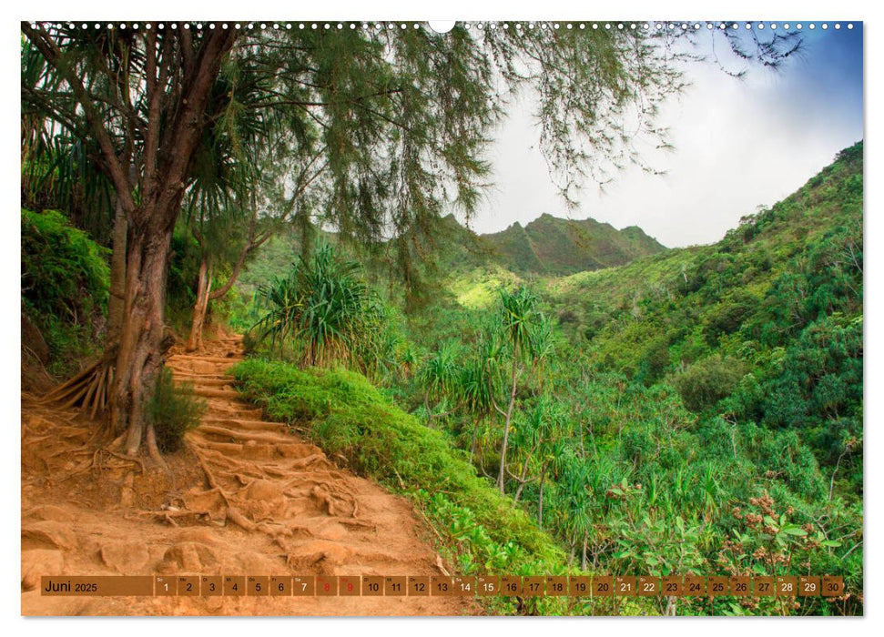 Kauai - Einmal Paradies und zurück (CALVENDO Wandkalender 2025)