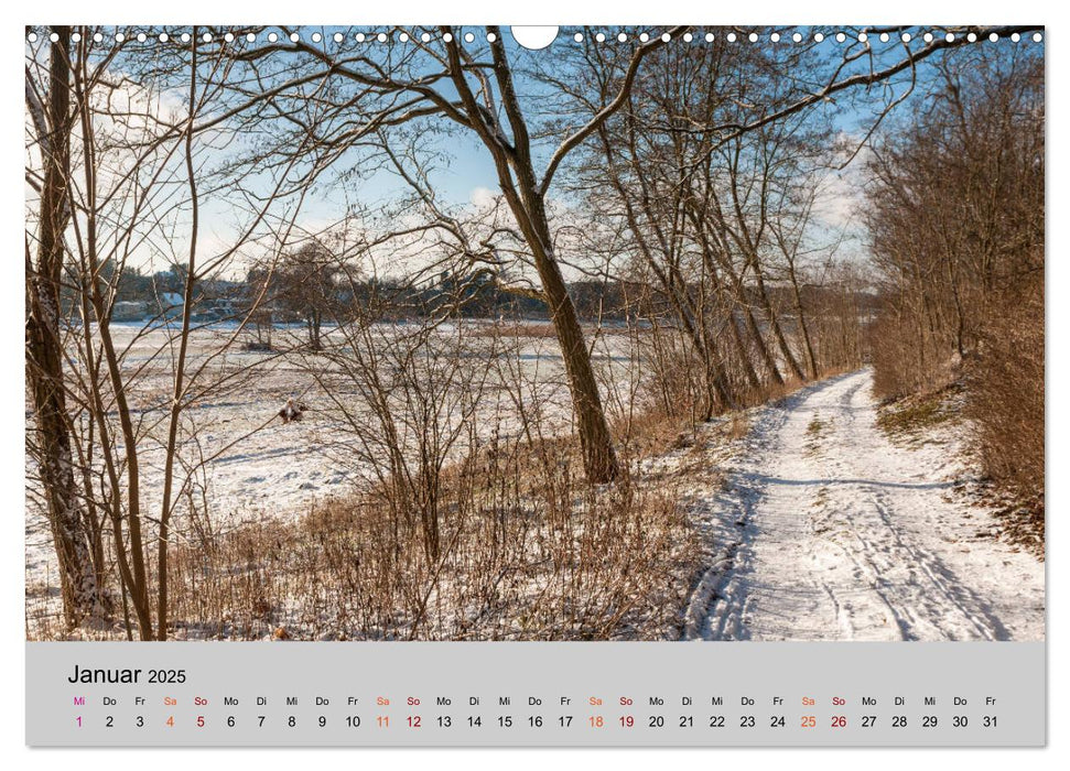 Joachimsthal am Rand der Schorfheide (CALVENDO Wandkalender 2025)