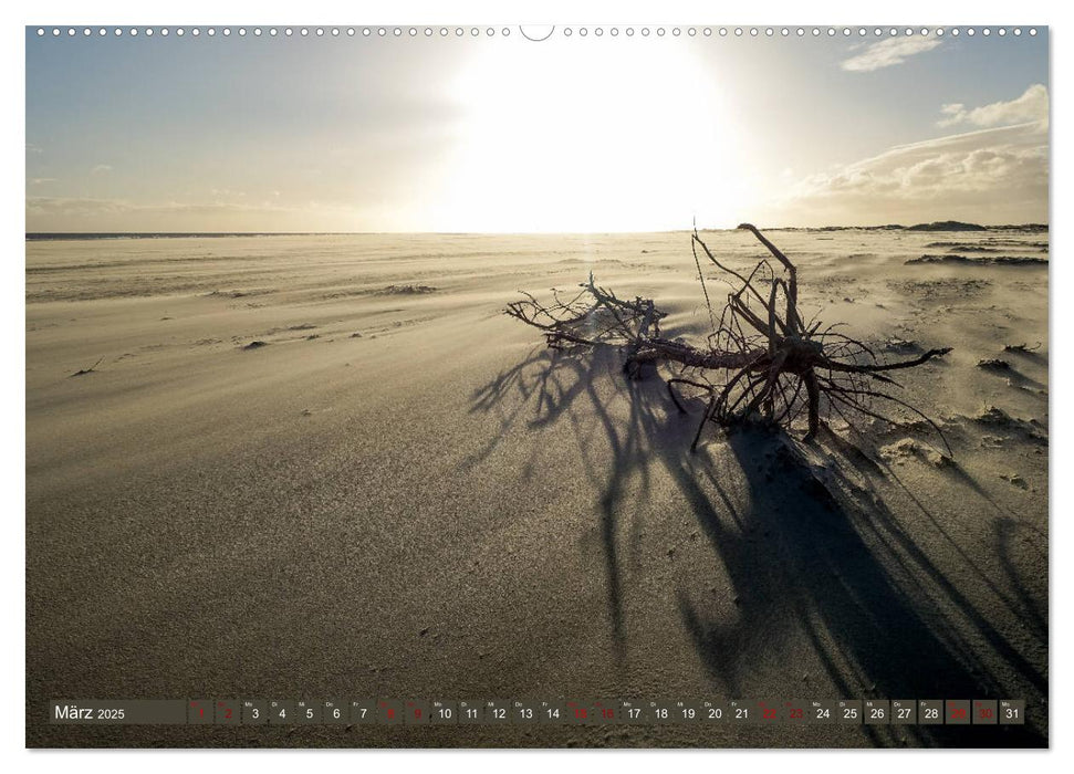 Einzigartiges Spiekeroog (CALVENDO Wandkalender 2025)