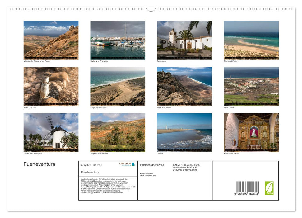 Fuerteventura (CALVENDO Premium Wandkalender 2025)