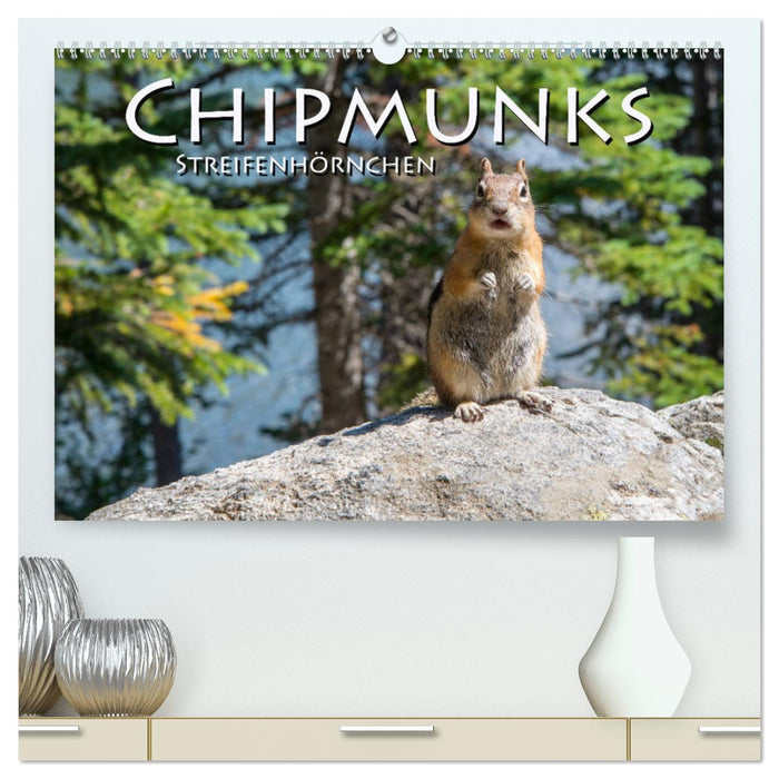 Chipmunks Streifenhörnchen (CALVENDO Premium Wandkalender 2025)