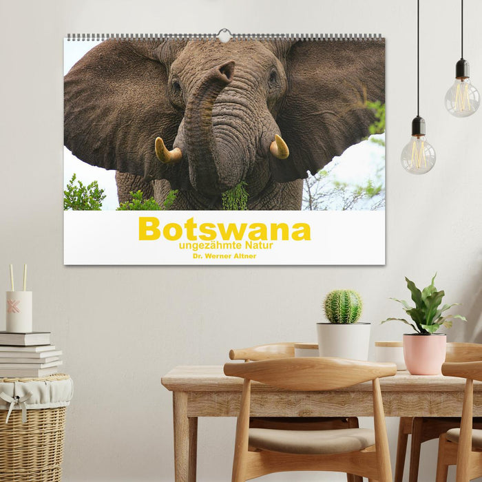 Botswana - ungezähmte Natur (CALVENDO Wandkalender 2025)