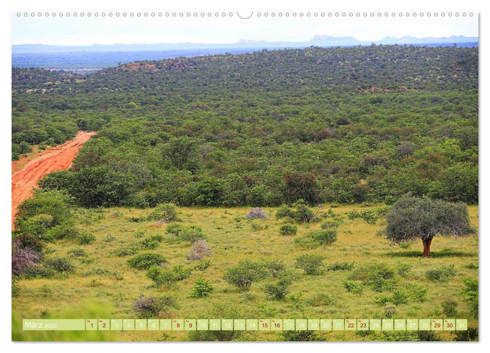 Botswana - ungezähmte Natur (CALVENDO Wandkalender 2025)