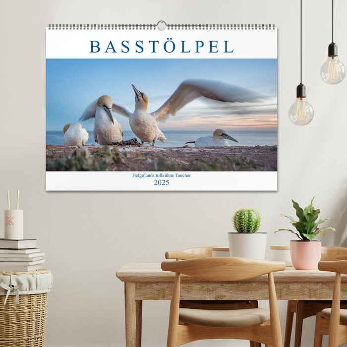 Basstölpel - Helgolands tollkühne Taucher (CALVENDO Wandkalender 2025)