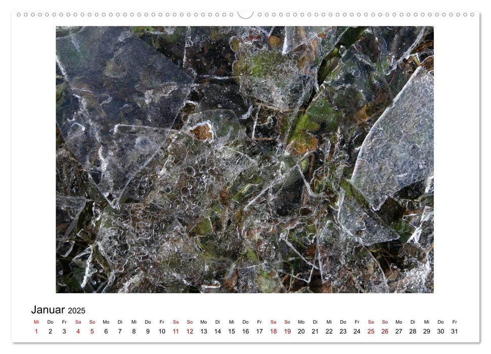 Nymphenburger Park (CALVENDO Premium Wandkalender 2025)