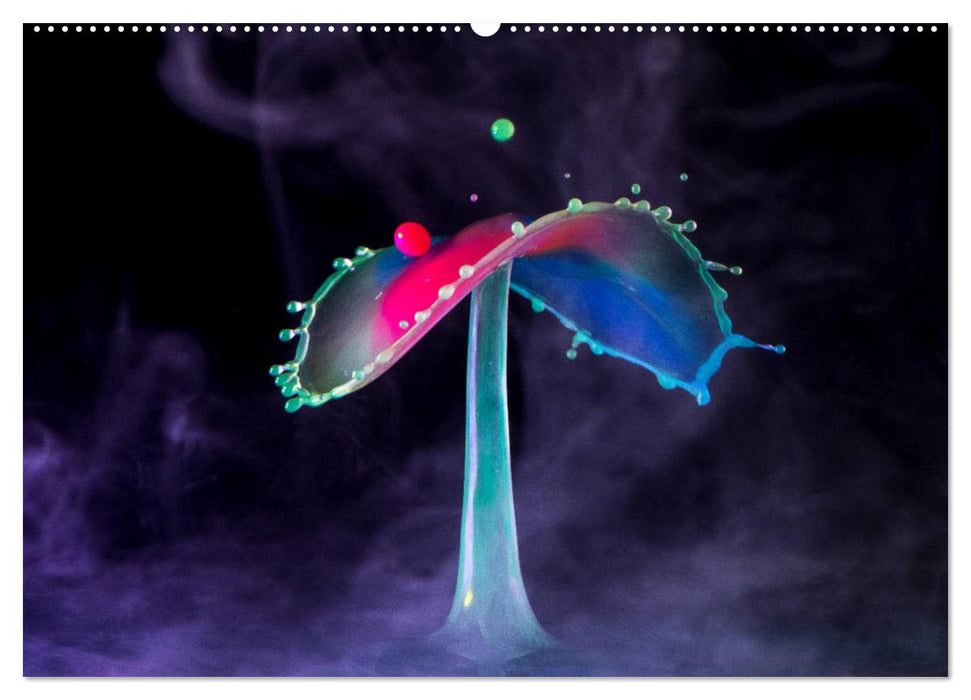 Liquid Art, Faszination Tropfenfotografie (CALVENDO Premium Wandkalender 2025)